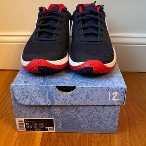 Nike Mens Ja 1 Team USA shoes - NWT